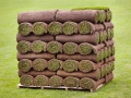 Pallet of Turf