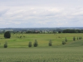 golfing-in-southern-sweden